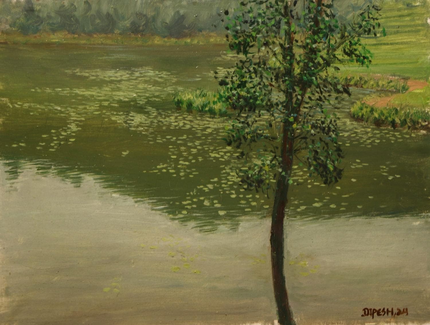 Dipang Lake Pokhara With A Tree In The Foreground And Water Lilies and Path Way On The Side