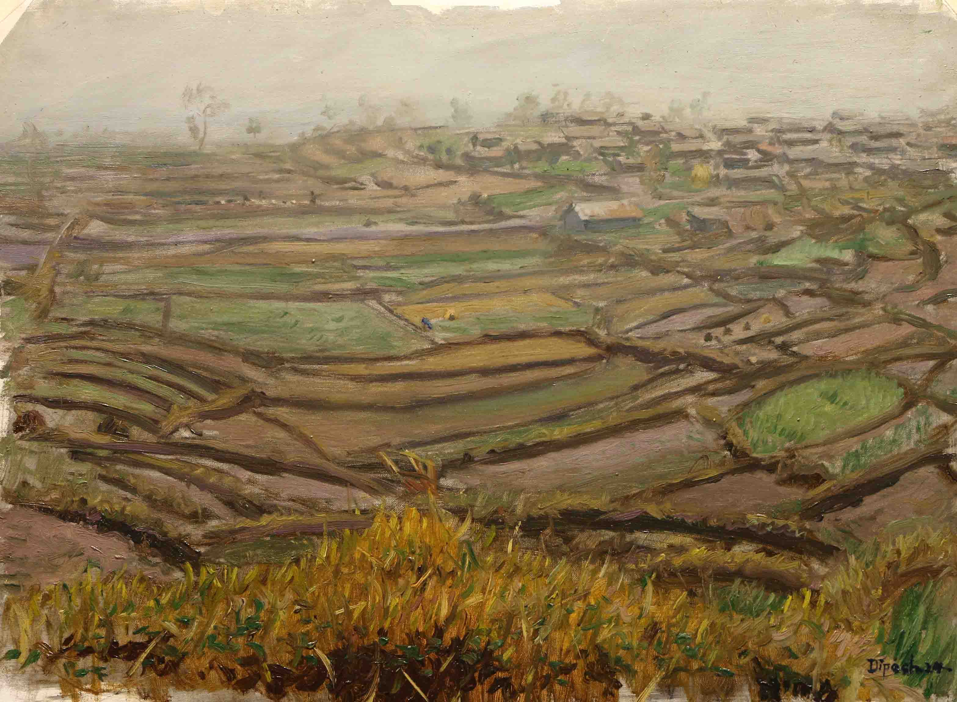 fields in early spring, Ghachok village