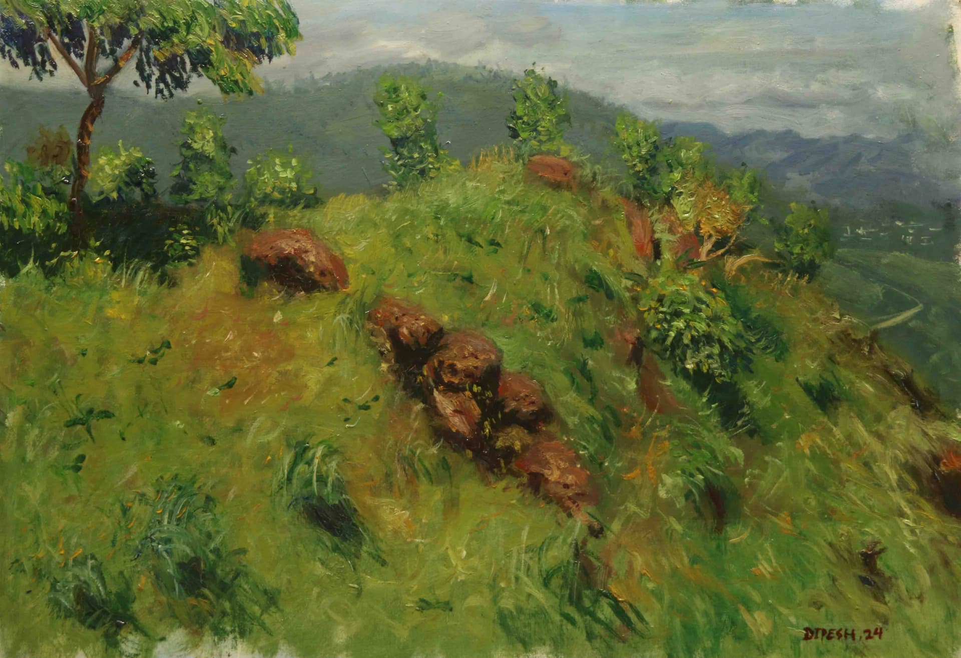evening light on the hill, pokhara