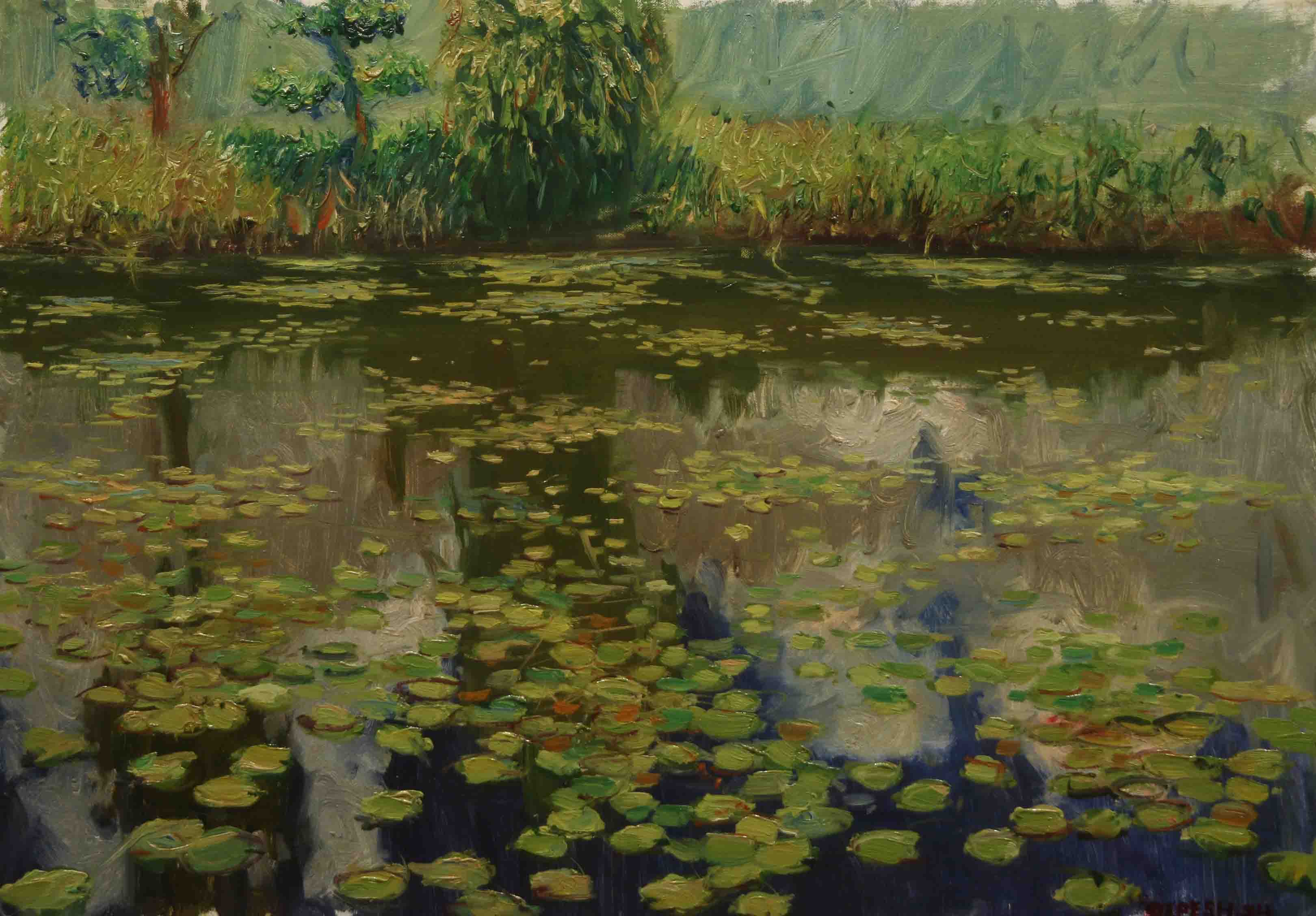Lilies On The Pond 