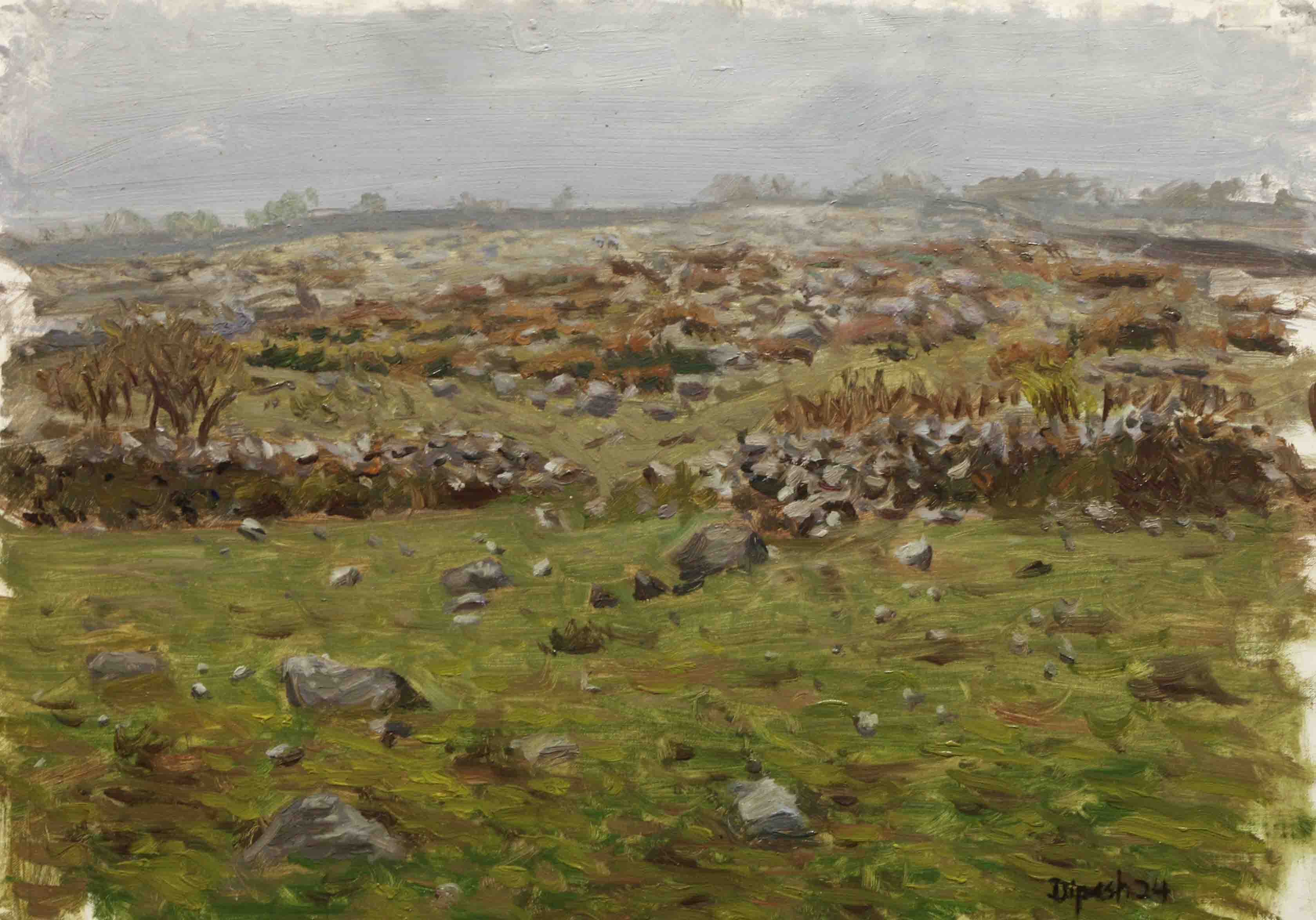 Field in late villagel, Mustang