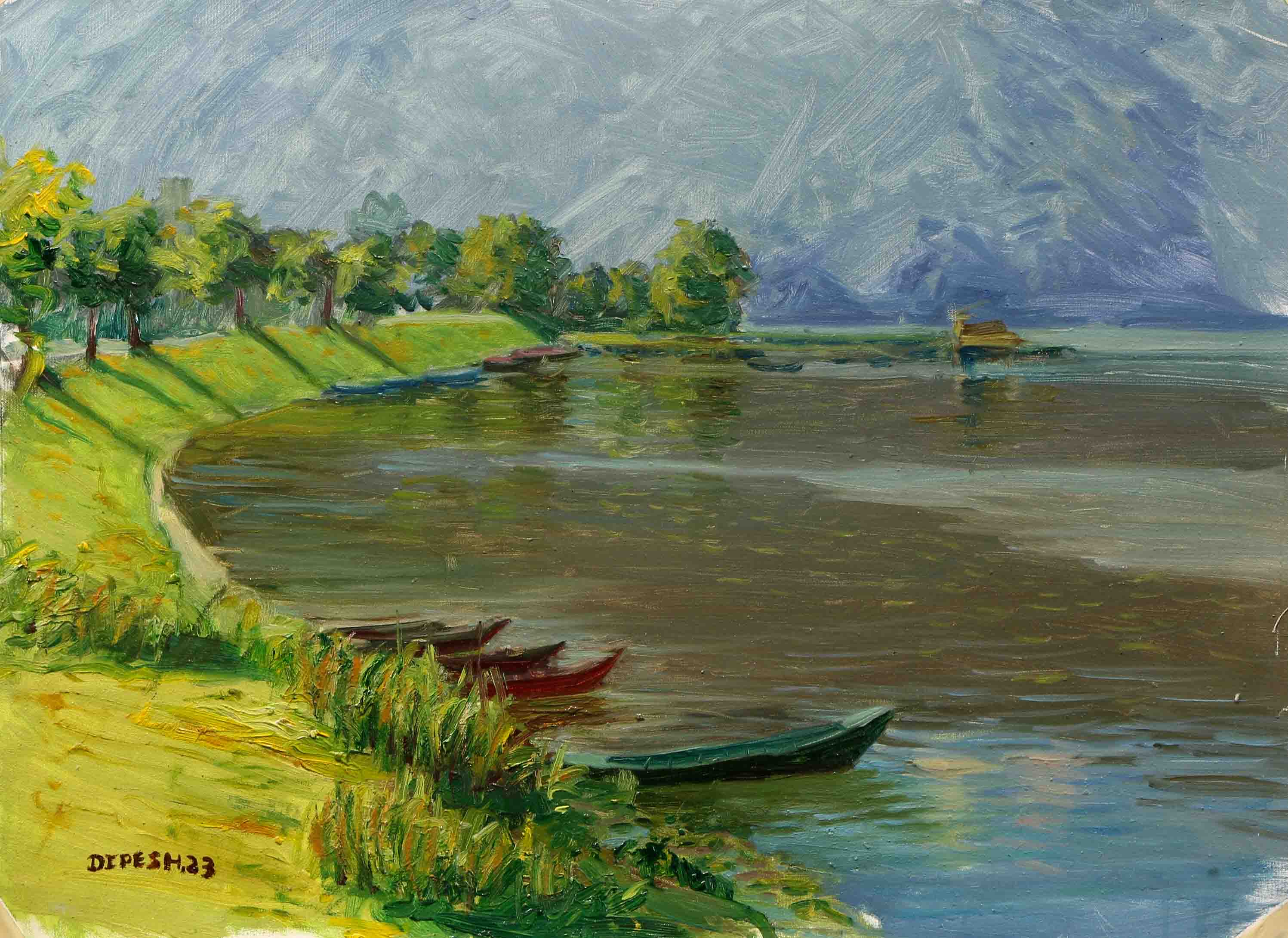 Boats in Fewa Lake in early morning light, Pokhara