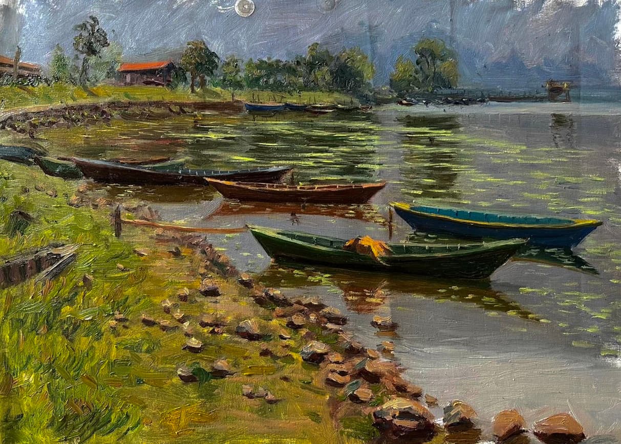 Boats on Fewa lake, Pokhara 